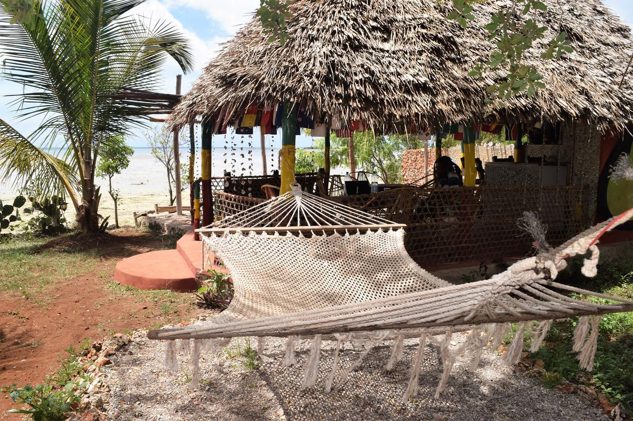 Kidoti Wild Garden 3*