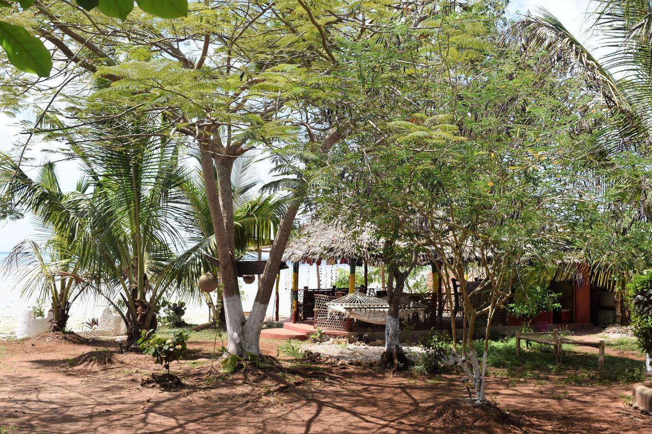 Kidoti Wild Garden
