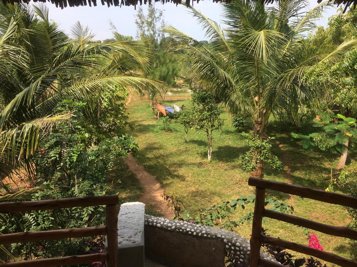 Kidoti Wild Garden